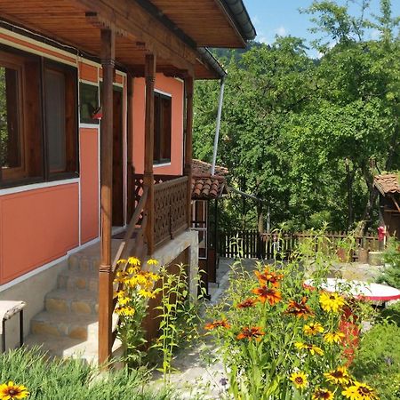 Mechta Guest House Koprivstica Kültér fotó