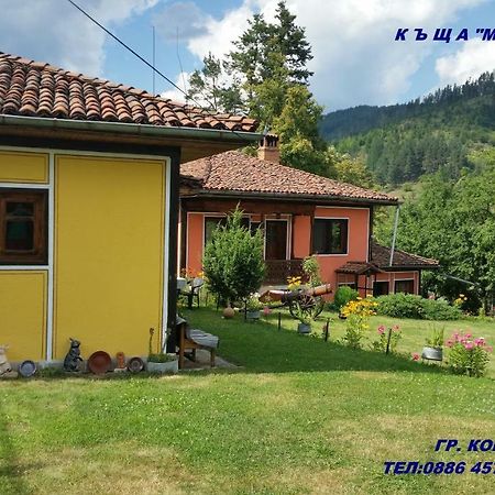 Mechta Guest House Koprivstica Kültér fotó