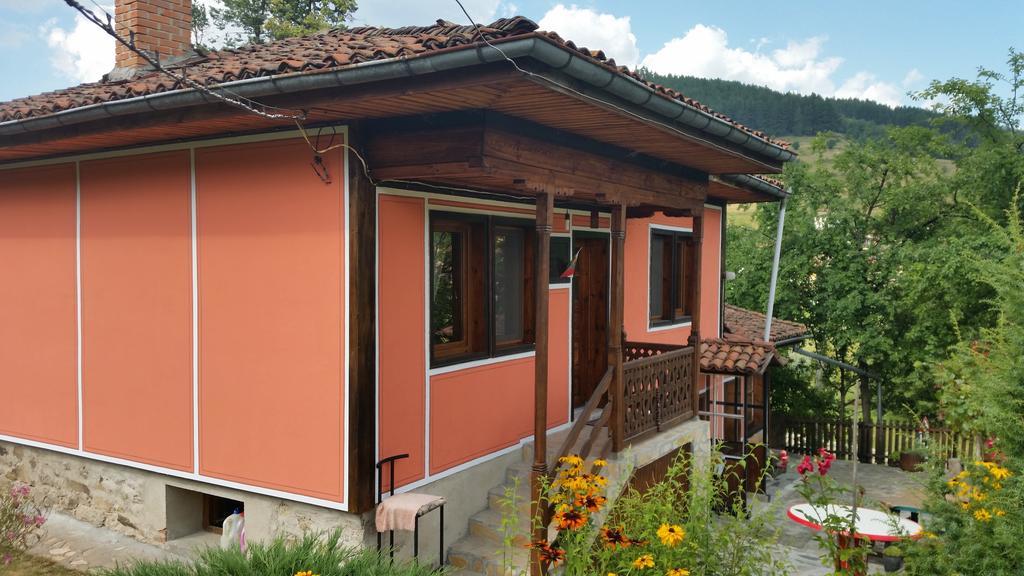 Mechta Guest House Koprivstica Kültér fotó