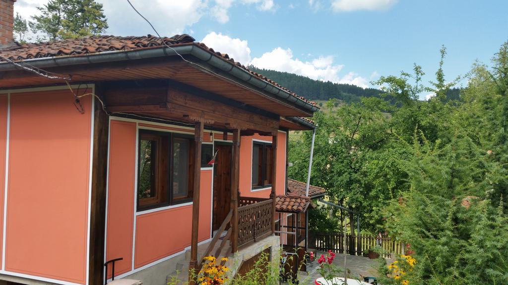 Mechta Guest House Koprivstica Kültér fotó