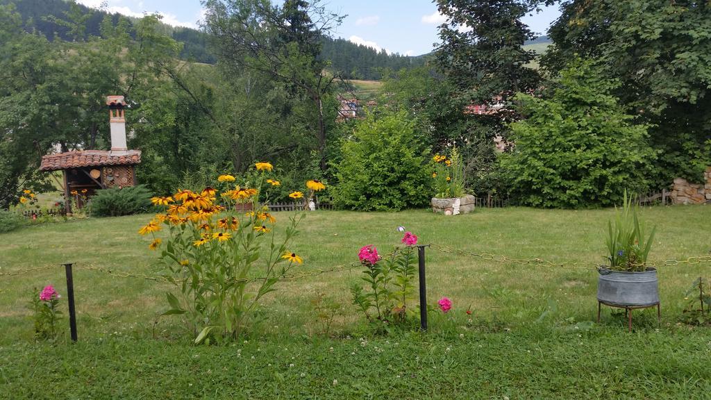 Mechta Guest House Koprivstica Kültér fotó