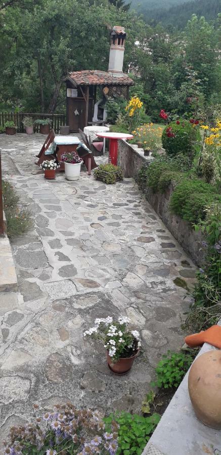Mechta Guest House Koprivstica Kültér fotó