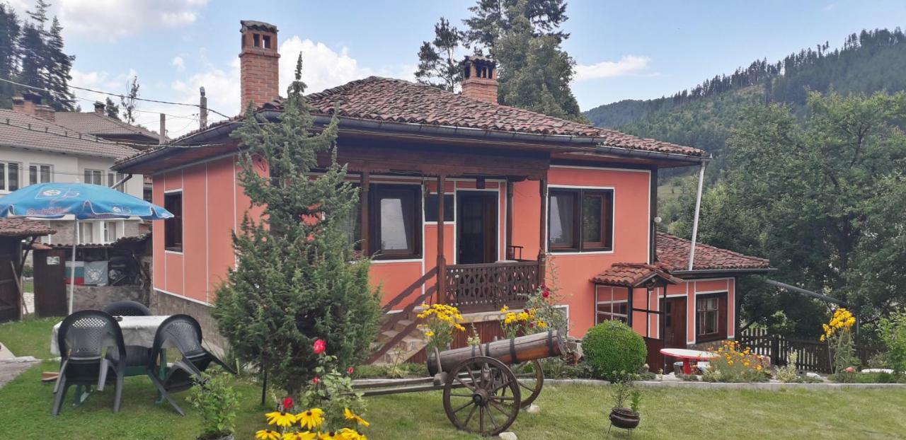 Mechta Guest House Koprivstica Kültér fotó