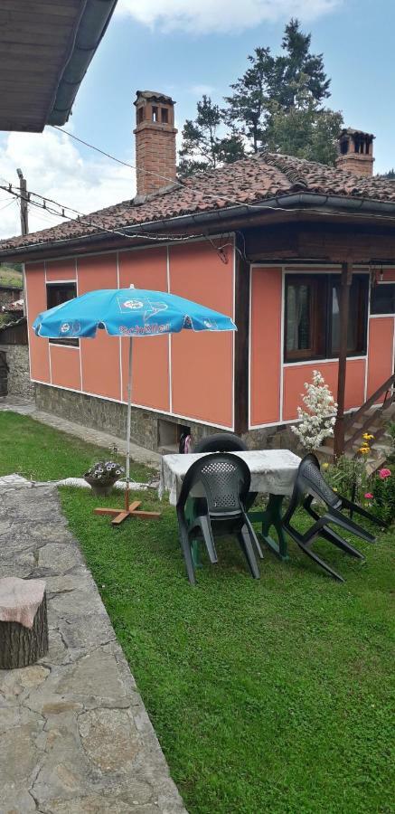 Mechta Guest House Koprivstica Kültér fotó
